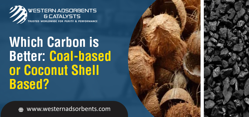 Which Carbon is Better: Coal-based or Coconut Shell-based? 